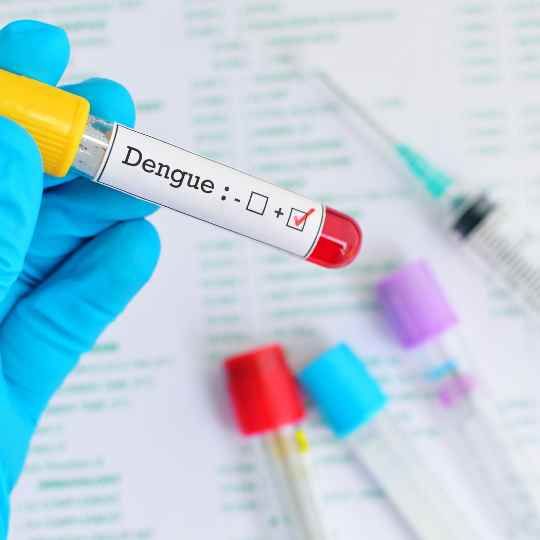 Brasil inaugura maior biofábrica do mundo para combater dengue, zika e chikungunya