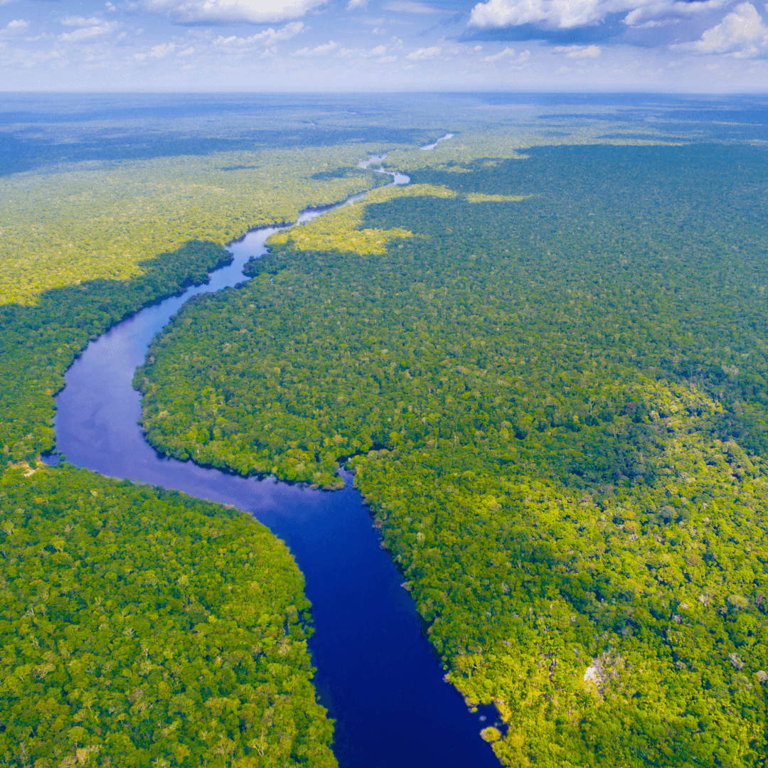 Apoio internacional à Amazônia cresce: Irlanda faz primeira doação ao Fundo Amazônia
